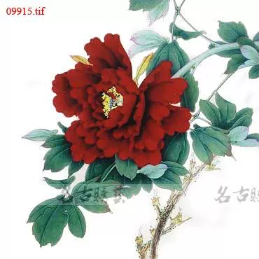 New Su thêu diy kit người mới bắt đầu Peony Tô Châu tay thêu sơn trang trí phần có stitch 30 * 30 CM