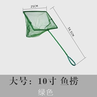 10 -INCH SQUE