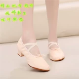 Принесение танцевальной обуви женская мягкая тренировочная туфли Ченг, люди, танцоры с каблуками с танцами живота женская средняя каблука