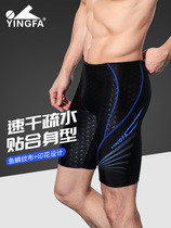 British Hair Swimsuit Mens 50% Speed Dry Shark Leather Waterproof Big Code And Knee Swim Pants Sports Training Professional Swimsuit