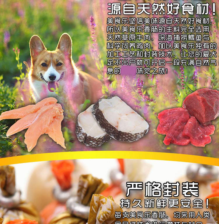 Gourmet thịt bò, gà, cá, xúc xích, chó, ăn nhẹ, thịt bò, mực, phô mai, gấu bông, lông vàng, thức ăn vật nuôi - Đồ ăn vặt cho chó đồ ăn cho chó con