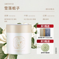 【Edition Cold Frost Art Edition】 Snow Falls Gardenia