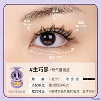 [Ограниченная серия Little Bear Chong] Shengqiao Black 2.0 «Все в одном»