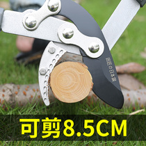Field artisan vigorously coarse branch cut gardening large scissors cutting branches and pruning branches pruning twigs garden labor-saving branch cut flower cut