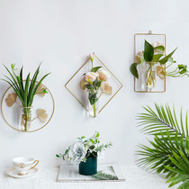 Wall-hanging flower shelf green plant hydroponic vase iron art pendant entrance wall decoration flower insert pothos test tube flower device