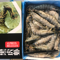 Vietnamese Black Tiger Shrimp Fresh Extra-large Nine Knobs Shrimp Seafood Fresh Aquatic Giant Extra-large Frozen Spotted Shrimp Tiger Shrimp
