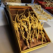 Old ginseng with more than 30 years of seeds no beard and no appearance 55g