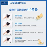 Французская зубная щетка для зубного зуба кошачья зуб