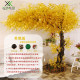 Simulated Golden Banyan Tree Money Tree Living Room Hotel Restaurant Large Plant Floor-Standing Floral Indoor and Outdoor Decoration Fake Tree