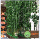 Artificial Bamboo Fake Bamboo Decorative Partition Screen Green Plant Landscaping Indoor Living Room Decoration Plastic Bamboo Moso Bamboo