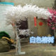 Simulated Large Trees, Artificial Trees, Simulated Banyan Trees, Large Plants, White Artificial Trees, Hotel Lobby, Photo Studio, Stage Props