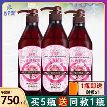 Rose essential oil Massage oil Full body neck and shoulder open back Gua Sha Tuina Tong Jing Luo ginger oil Beauty salon Ginger essential oil