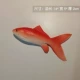 Рыба Красного моря