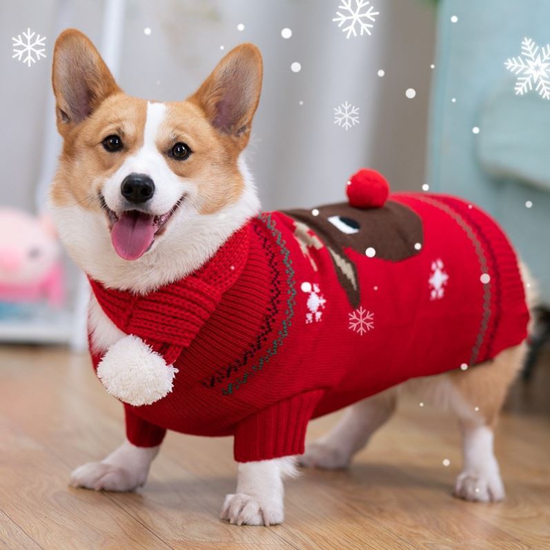 Pooch Christmas clothes Pets Christmas scarves for small and medium dogs winter thickened padded jacket cotton cloakkirchai dogs