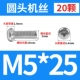 M5*25 (20)