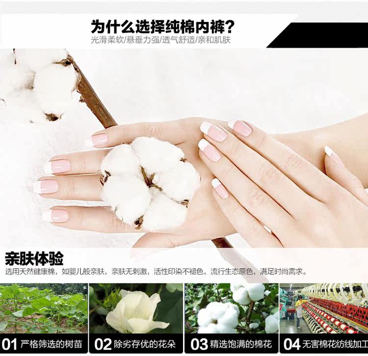 Slip jeunesse M679 en coton - Ref 667058 Image 8