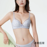 Макарон синий (дышащая спина)