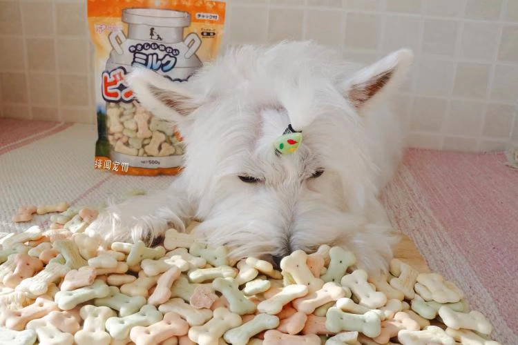 hin big one pack ~ Nhật Bản Alice pet dog snack khử mùi bánh quy răng hàm làm sạch sữa hương vị 500g - Đồ ăn vặt cho chó