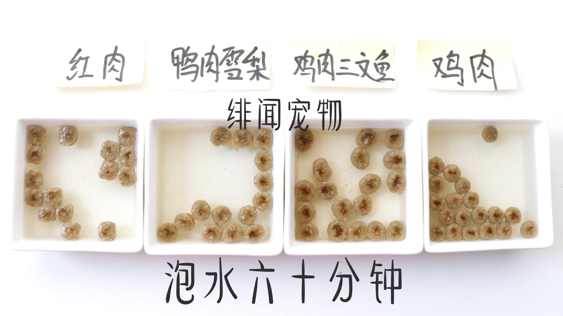 Thức ăn đông lạnh khen ngợi - Chó Staples hạt mềm cho chó con