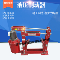 Jiaozuo Electric Hydraulic Brake YWZ-100 150200 300 400 Crane Brake Lock