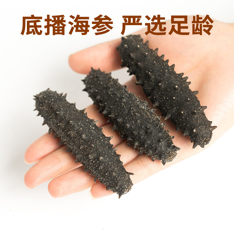 Presales 20 days Yisample Yin Yihai's ginseng B Shandong Weihai light dry sea cucumber Dry stock Ginseng Bottom of the sea cucumber 220g