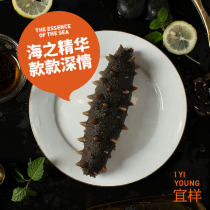 (Pre-sale 15 days)Suitable sea ginseng B Shandong Weihai light dried sea cucumber dry goods thorn ginseng bottom sown sea cucumber 220g