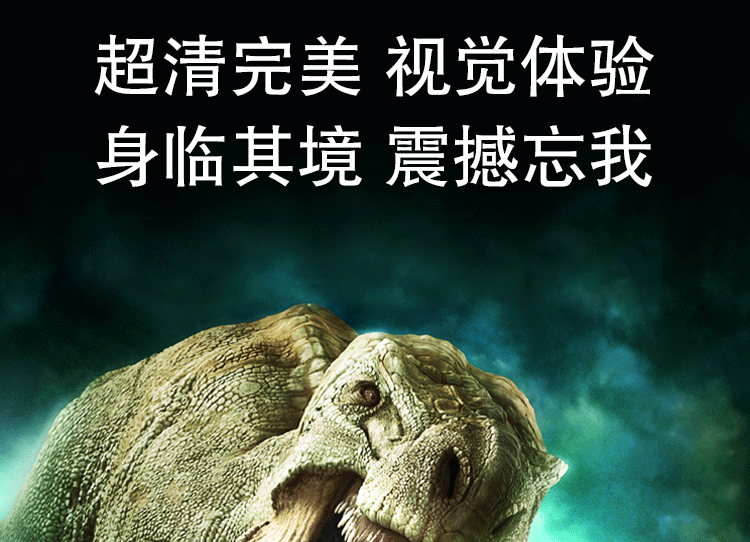 Lunettes VR ou 3D - polarisant - Ref 1234106 Image 4