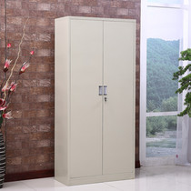 Office document filing cabinet Certificate cabinet Custom iron cabinet Double door cabinet