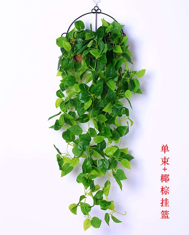 Tường trang trí cây xanh mô phỏng mây treo tường hoa lan nội thất phủ tường cây giả hoa treo hoa - Hoa nhân tạo / Cây / Trái cây bình hoa giả để phòng khách
