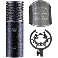 Aston SPIRIT BLACK Limited Edition с амортизатором