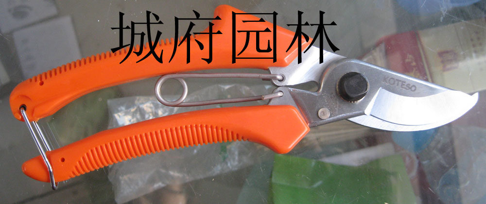 Taiwan trailblazer 120kt hand cut KOTESO branching garden fruit tree basin Jianghu Hulu