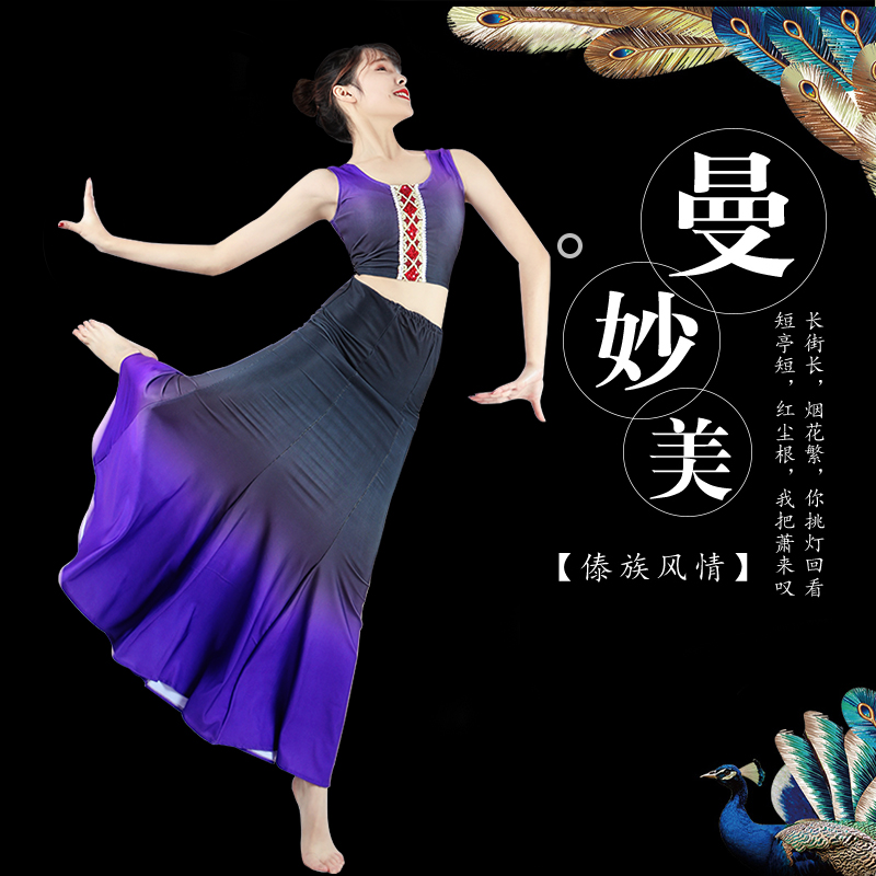 Dai dance costume Adult female performance costume Practice dance skirt Long dress Peacock dance performance costume Dance practice skirt