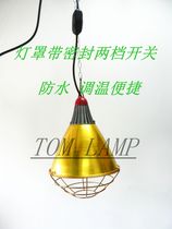 Infrared 250W375W poultry breeding heating lamp heating bulb heat preservation lamp food baking lamp drying bulb