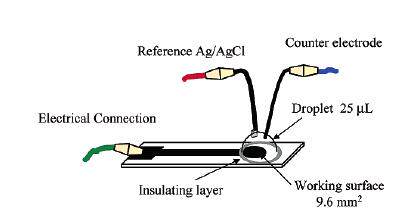 Biosensors rapidly measure ethanol, glucose, and lactate