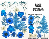 Синий очарование синего