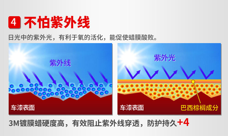 Xie Shijie-160922-3M ветер восковой Описание Оптимизация 4_09.JPG