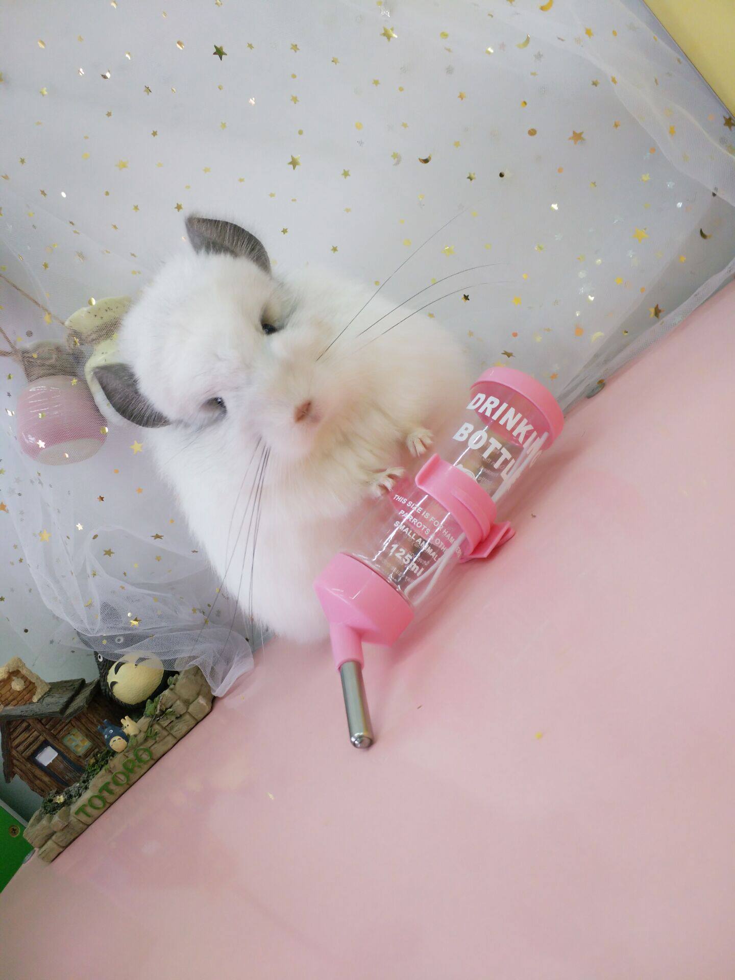 Pet-Hanging Drinker Automatic Water Feeder Pet Ball Type Rabbit Rabbit Drinker All 20