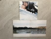 A trip to the snow in May by Yu Hongming