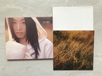 Liqi Body Appliquis to the body with a single song