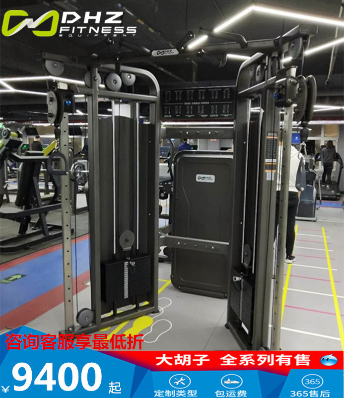 Original DHZ bearded little bird E3017 gantry multifunctional trainer commercial gym big fly