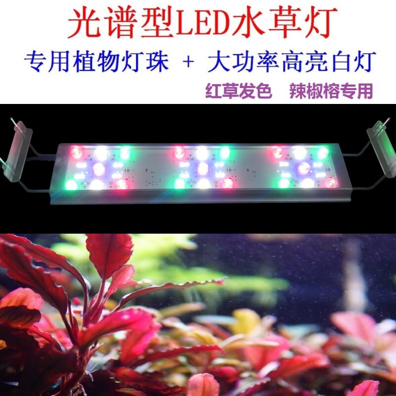 Zhongruite LED water grass lamp grass cylinder lamp full spectrum water grass landscaping lamp chili ficus hair color fish tank aquarium lamps