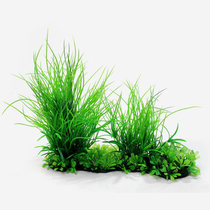 Tianjin aquarium plastic high simulation aquatic plant aquarium landscape cluster export quality about 22cm grass L-2031