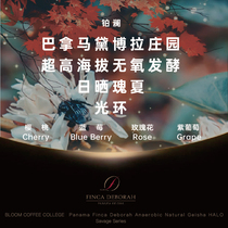 Platinum Panama Deborah Rossia Halo Savage coffee bean HALO mild baking bag can be ground on behalf of