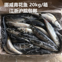 Norwegian blue and white fish 1 piece 20kg pieces 400-600 grams whole box for sale Jiangsu Zhejiang Shanghai and Anhui