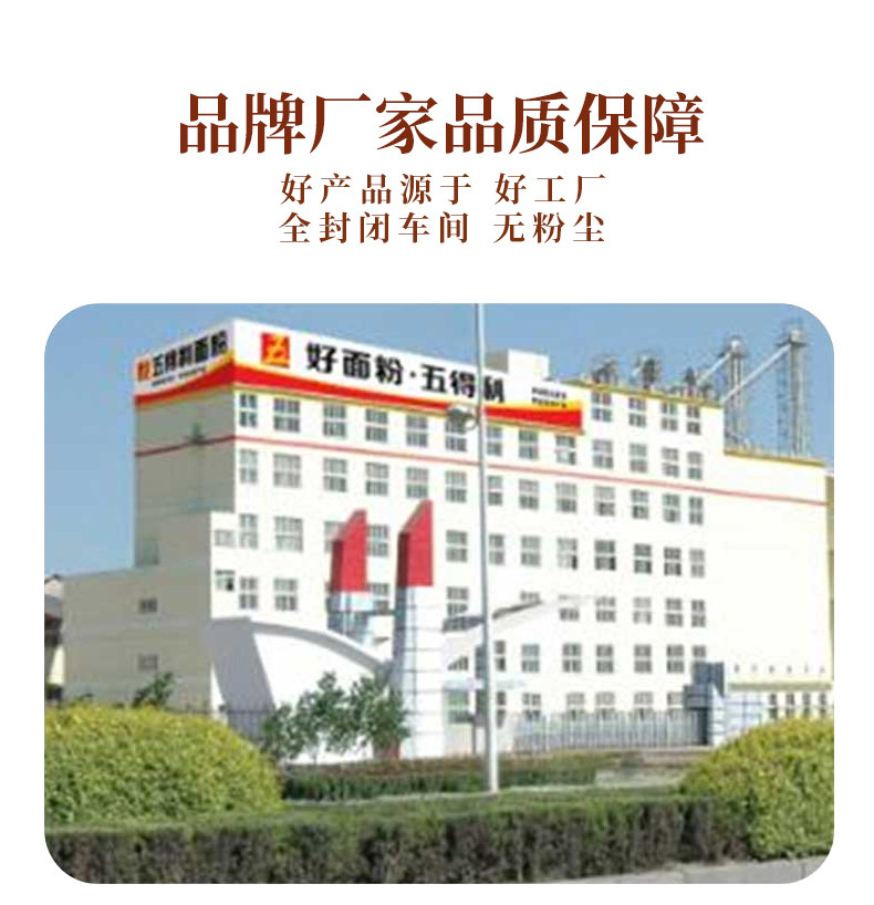 安享好物 安享B级小麦面粉-五得利八星 雪花小麦粉 国标