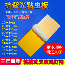 Fly paper fly-extinguishing lamp sticky insect board mosquito repellent lamp sticker food restaurant with fly-extinguishing bug 10