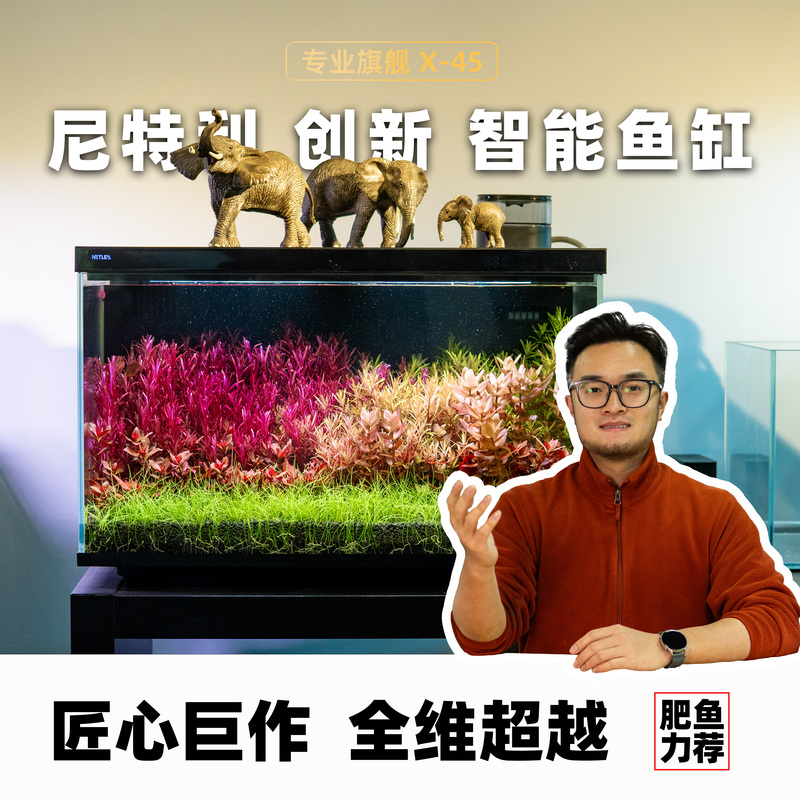 Nitli's New Smart Fish Tank App Remotely Controls the Grass Tank and the Integrated Desktop Fish Tank X-45Ultra