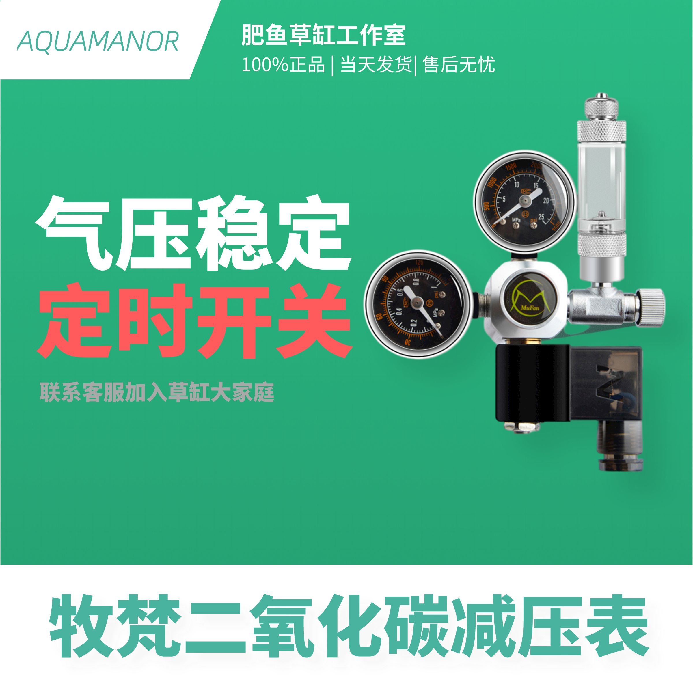 Pasta stainless steel solenoid valve straw cylinder CO2 decompression table carbon dioxide double table pressure reducing valve with scooters fertilizer fish-Taobao