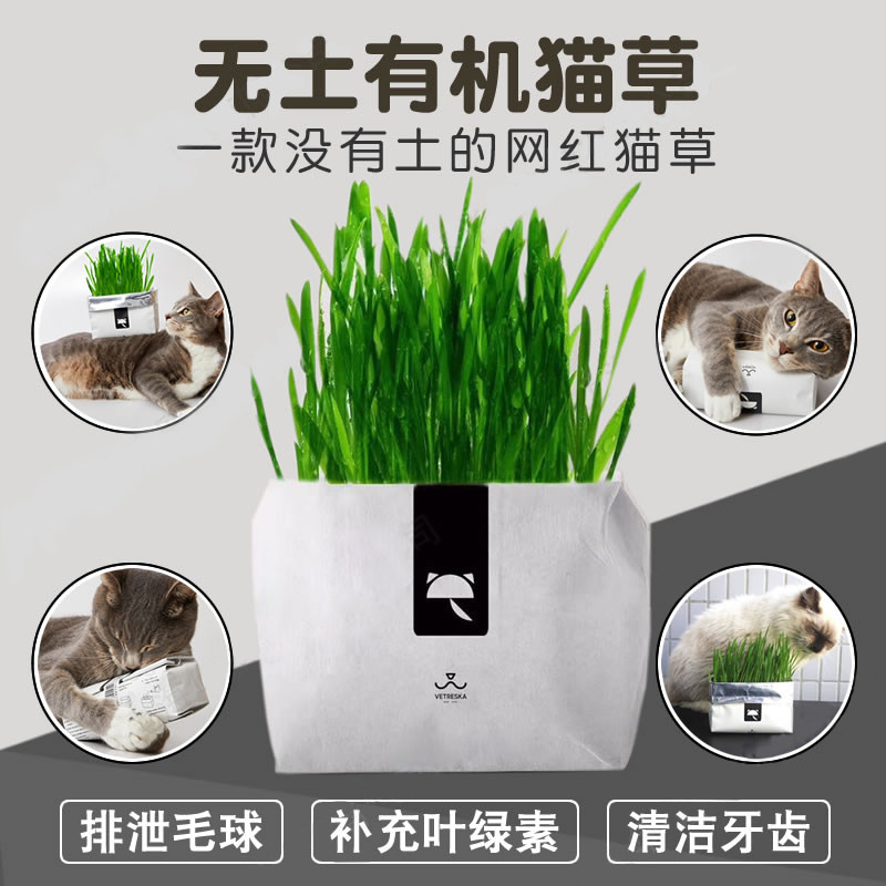 Uncarded cat grass cat hair ball spit hair ball hair appetizer natural pet cat food snacks clean mouth deodorant
