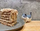Серый мини -английский короткий